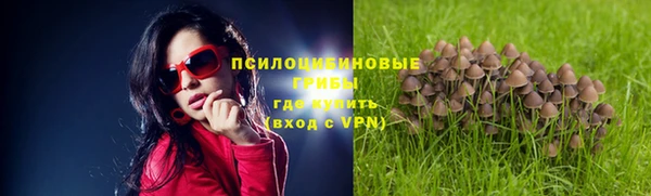 МДПВ Майский