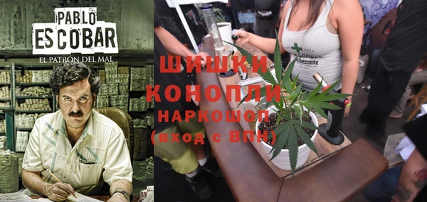 мдпв Липки