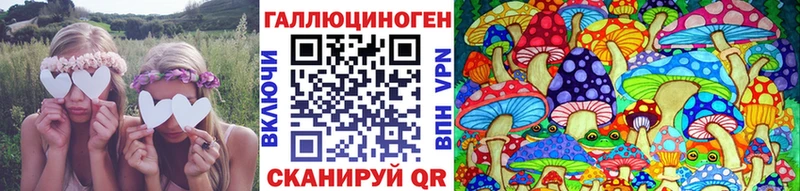 Псилоцибиновые грибы Psilocybine cubensis Чухлома