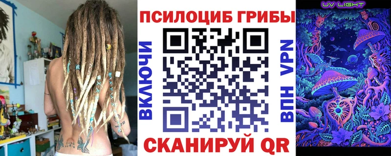 где купить наркоту  Чухлома  Галлюциногенные грибы Psilocybe 
